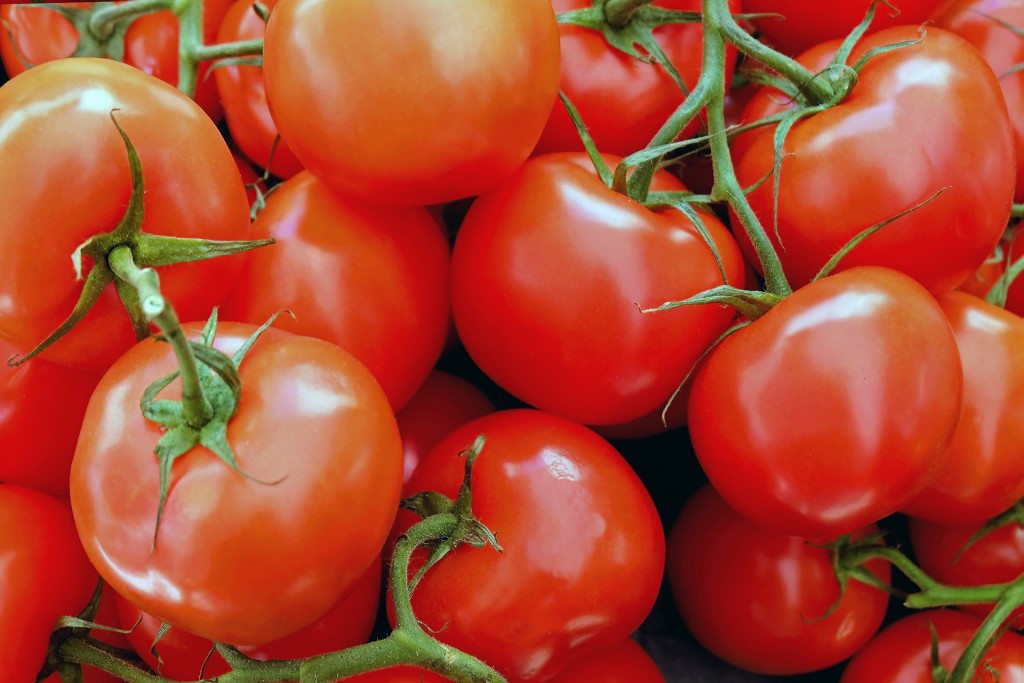tomatoes-1263086